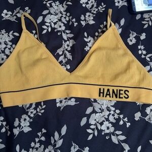 Hanes bra